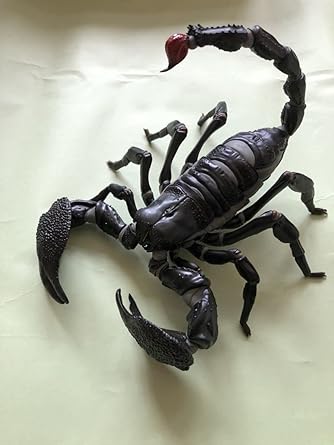 海洋堂 リボジオ ダイオウサソリ 蓄光版 | dsmont.com
